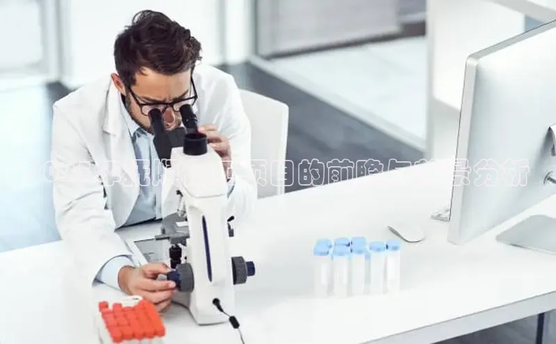 BETVlCTOR最新地址