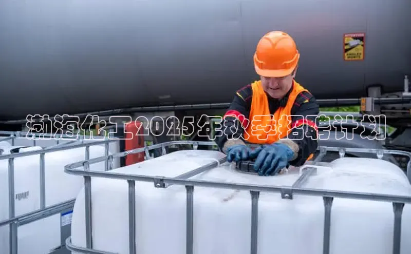 伟德betvictor1946体育