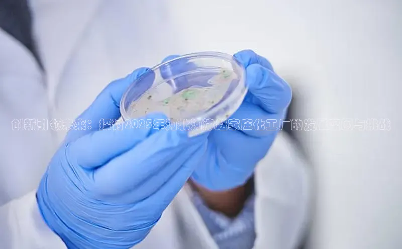 伟德betvlctor体育官网